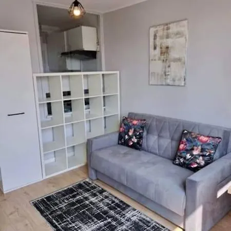 City Centre Top Floor Apartment Varšava Exteriér fotografie